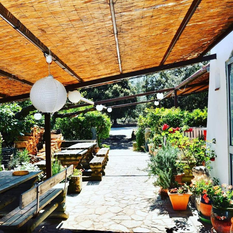 Domaine Du Berange Hotel Saint-Genies-des-Mourgues Ngoại thất bức ảnh